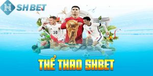 Tìm hiểu sơ lược về thể thao Shbet